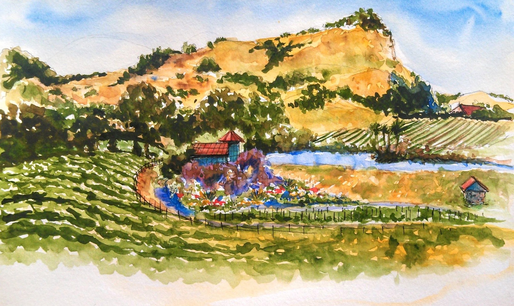 Danae Designs Napa Valley