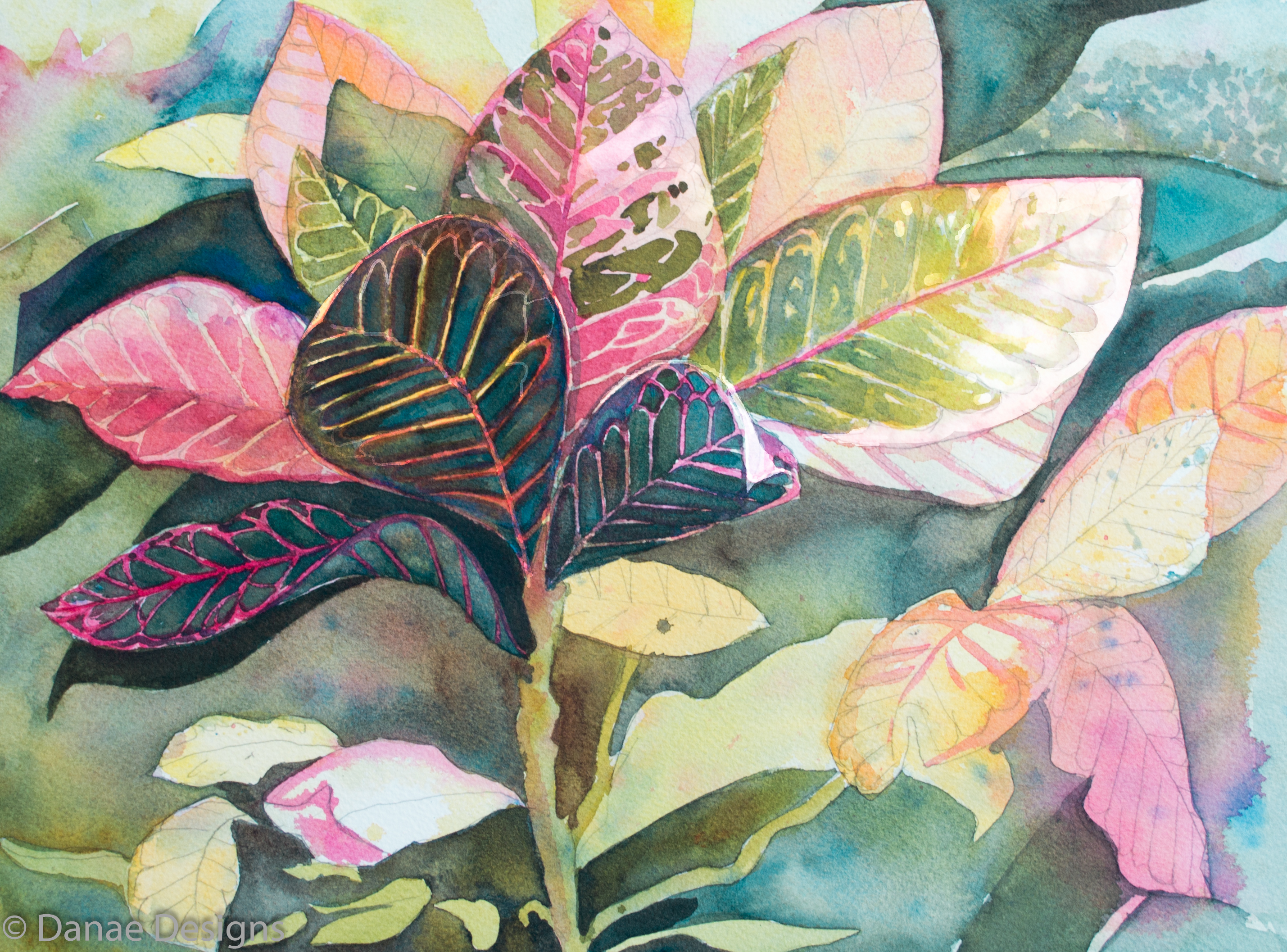 Danae Designs Watercolor Plein Air Crotons Cozomel Mexico