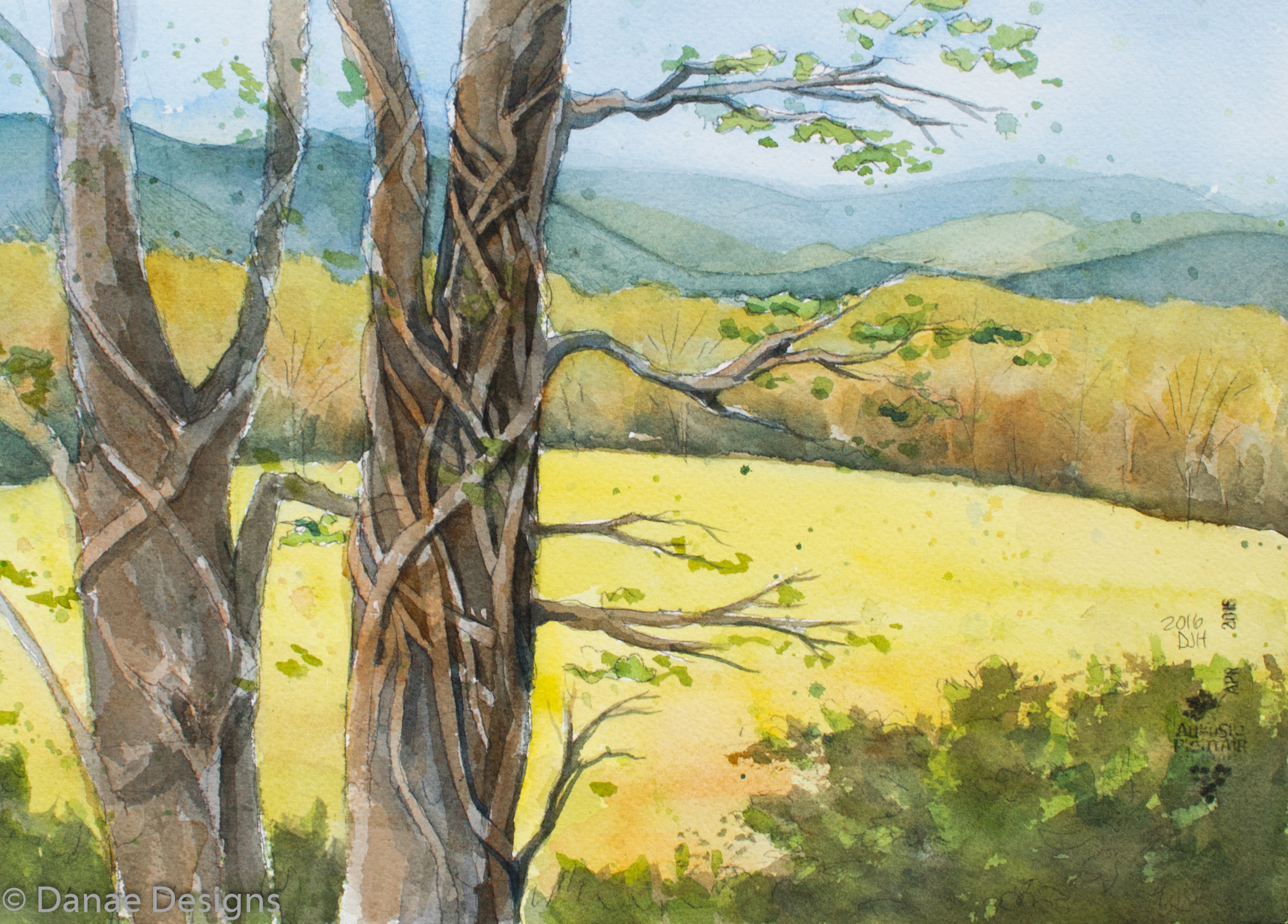 Danae Designs Watercolor Plein Air Noboleis Vineyars Augusta Plein Air Art Festival